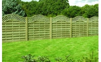 omega_lattice_top_824412696